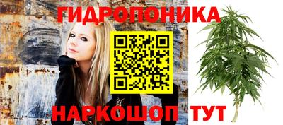 ПСИЛОЦИБИНОВЫЕ ГРИБЫ Бугуруслан