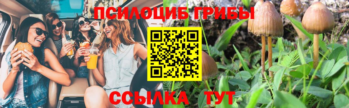 Псилоцибиновые грибы Magic Shrooms Урюпинск