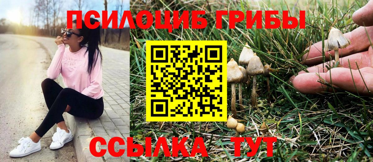 Урюпинск  Галлюциногенные грибы мицелий  Псилоцибиновые грибы мицелий  цены наркотик  Вход с VPN 